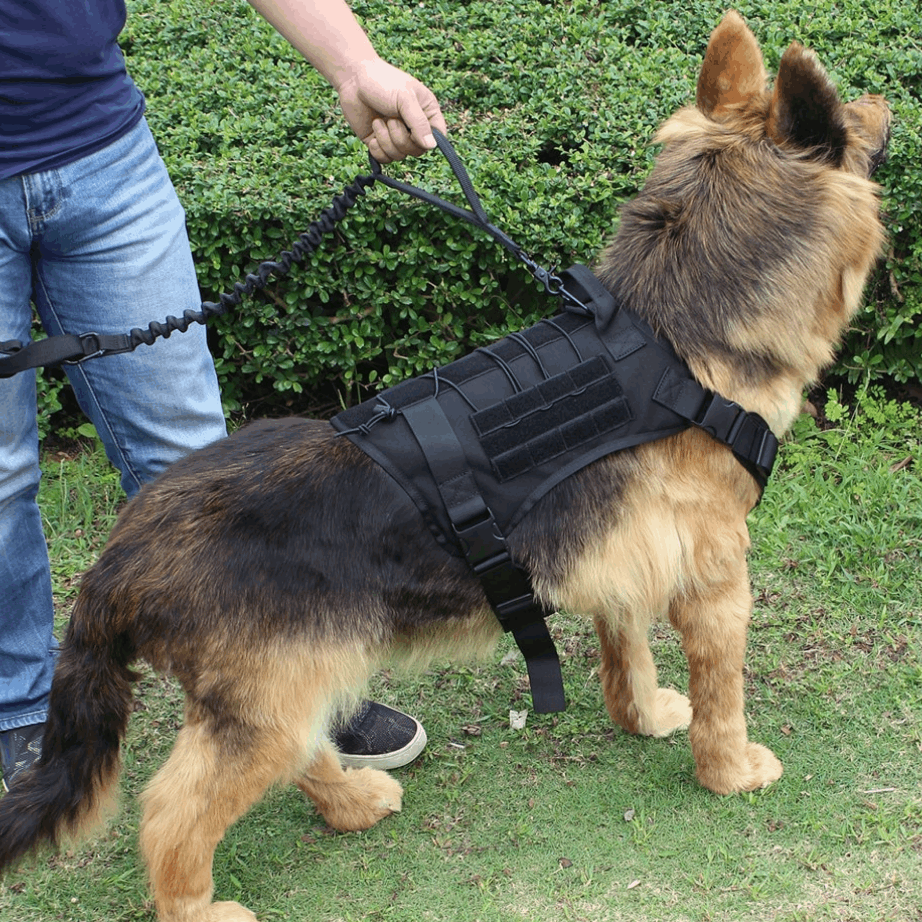 Tactical No Pull Dog Harness