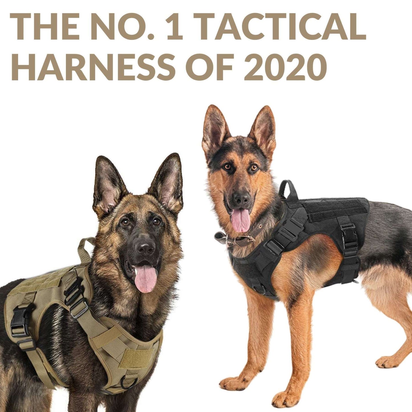 Tactical No Pull Dog Harness - Waggy Tails