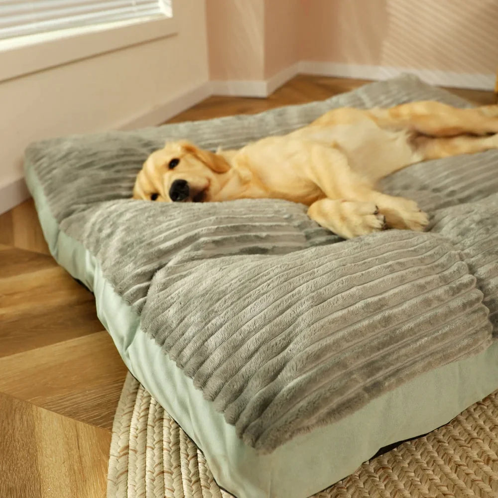 Modern Pet Sofa Bed Waggy Tails