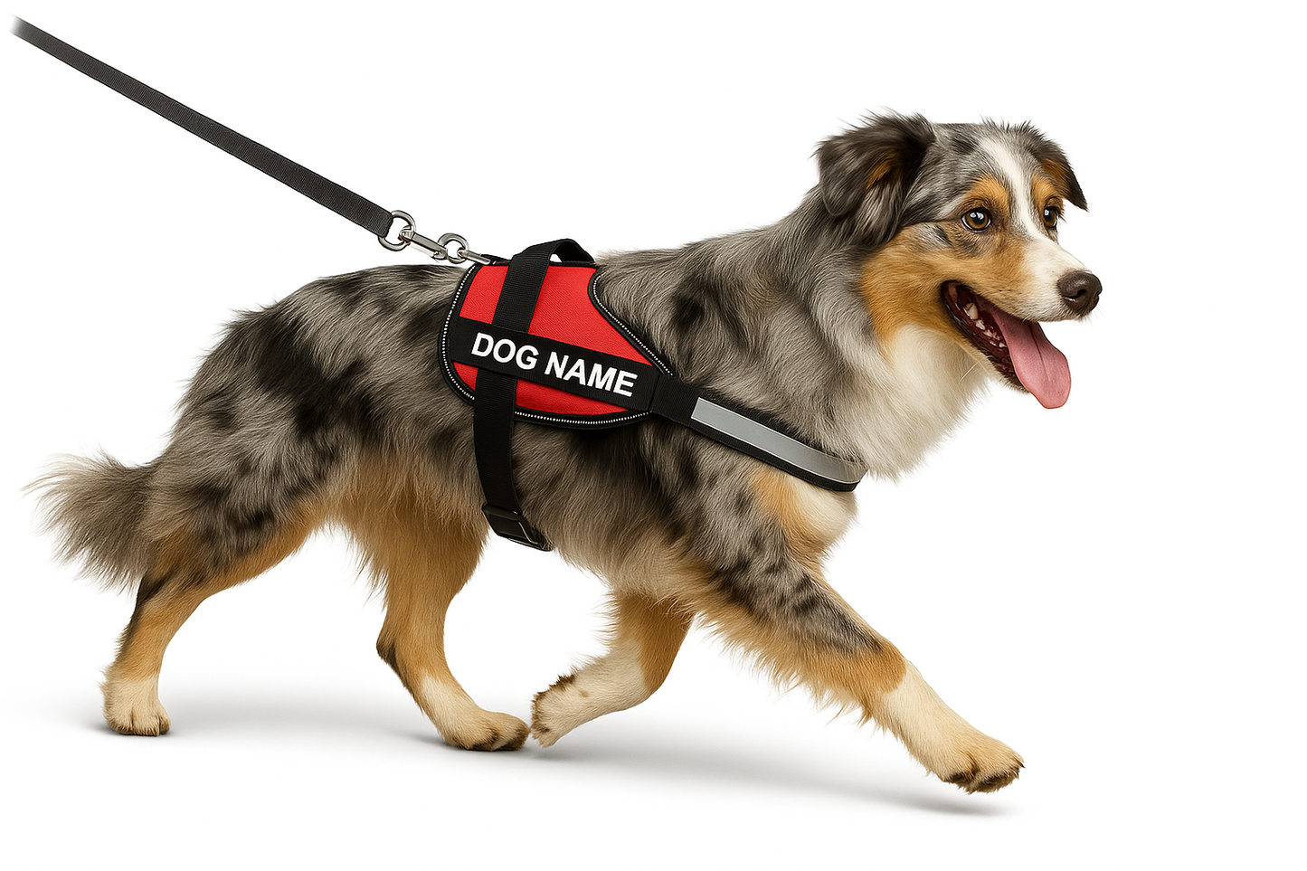 Personalized No Pull Dog Harness with Custom Name Tag