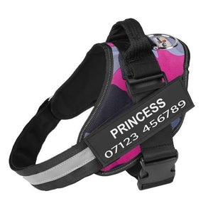Personalised No Pull Dog Harness - Waggy Tails