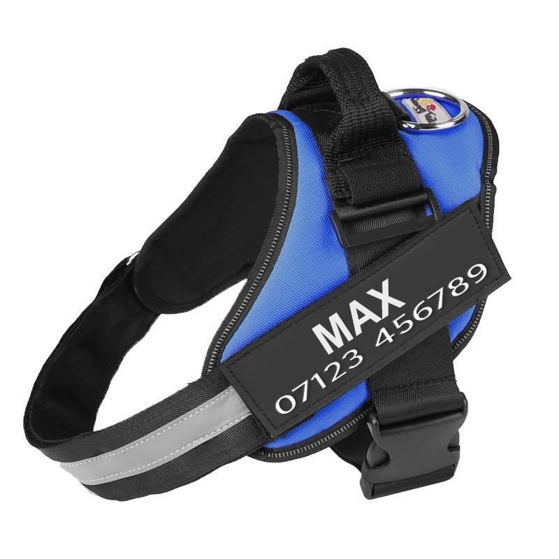Personalized No Pull Dog Harness — XS / Blue