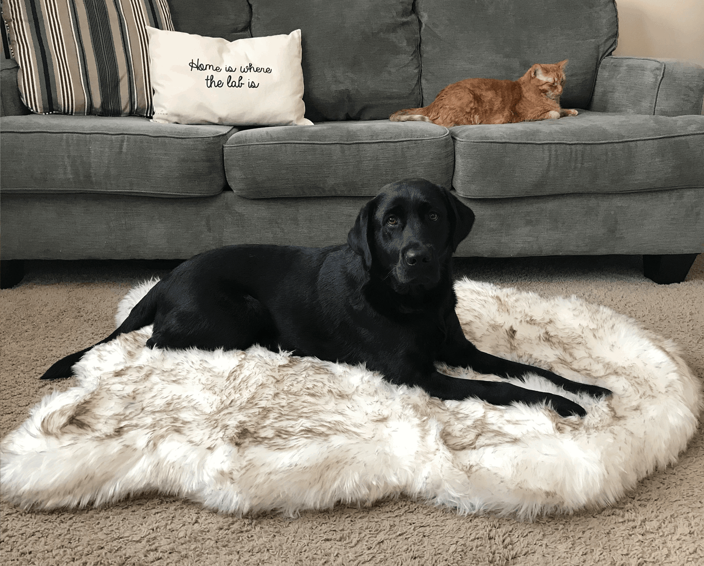 Faux Fur Memory Foam Dog Bed