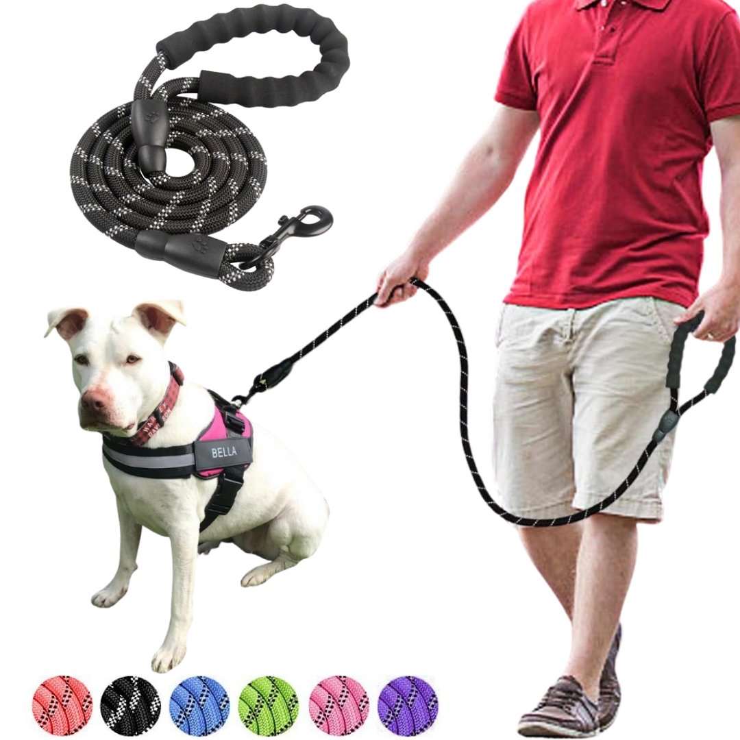 Strong Reflective Dog Leash - Waggy Tails